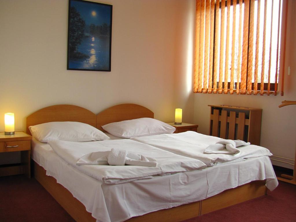 Hotel Isora Ostrava Rum bild